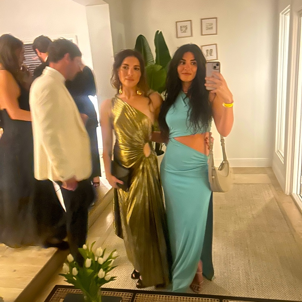 Michael Costello Blue gown,